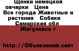 Щенки немецкой овчарки › Цена ­ 30 000 - Все города Животные и растения » Собаки   . Самарская обл.,Жигулевск г.